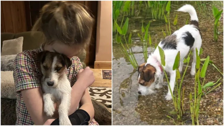 Poljoprivrednici Sonja i Perin Dineley te njihova 12-godišnja kći Dorothy bili su očajni kad je Iris nestala. Mislili su da je više neće vidjeti.