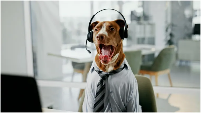 Spa&scaron;avaju živote, čuvaju okoli&scaron; i sudjeluju u kriminalu: Životinje sa zaista neobičnim poslovima