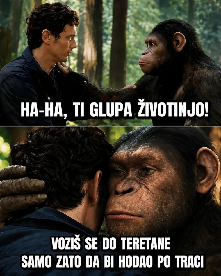 Izdvoji pet minuta samo za sebe i prelistaj ove urnebesne memove, popravit će ti dan