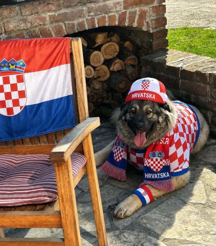 Oni su spremni za tekmu, a vi? Va&scaron;i ljubimci neodoljivi su u bojama Vatrenih