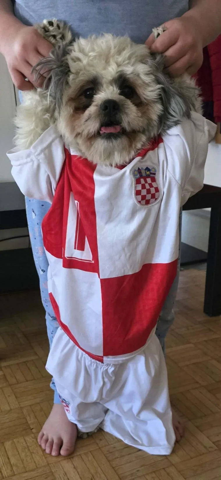 Oni su spremni za tekmu, a vi? Va&scaron;i ljubimci neodoljivi su u bojama Vatrenih