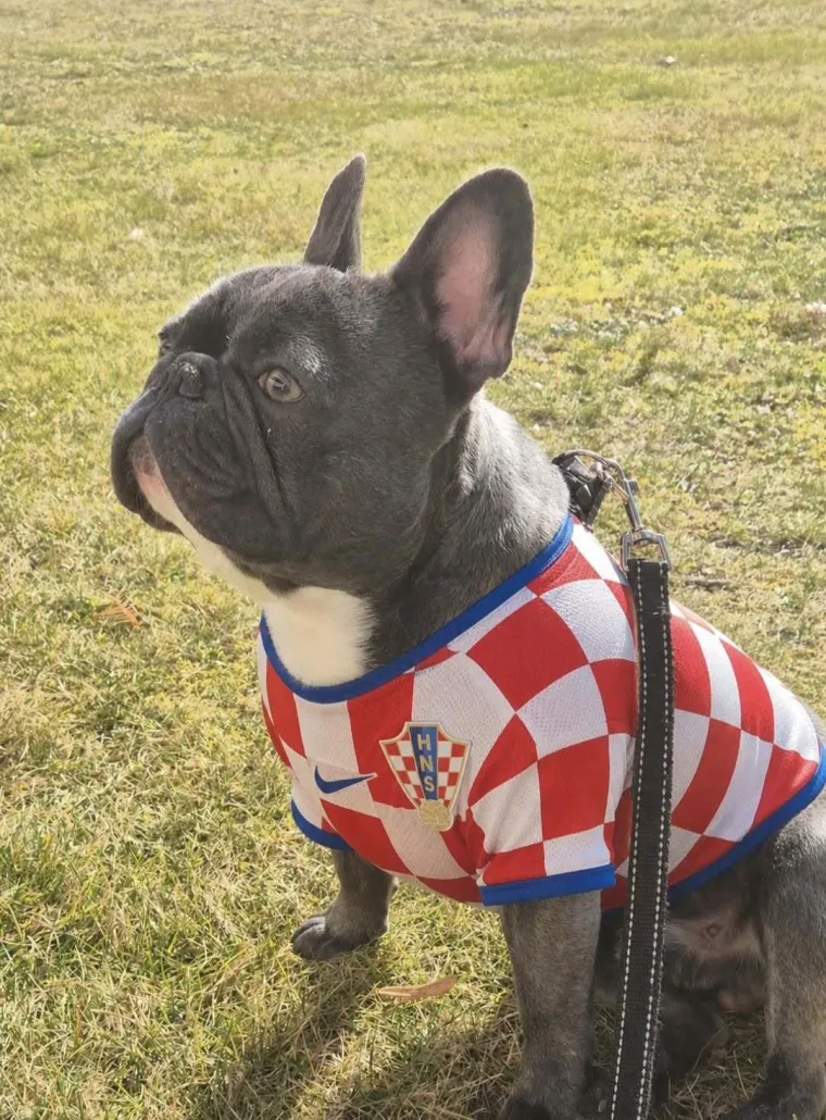 Oni su spremni za tekmu, a vi? Va&scaron;i ljubimci neodoljivi su u bojama Vatrenih