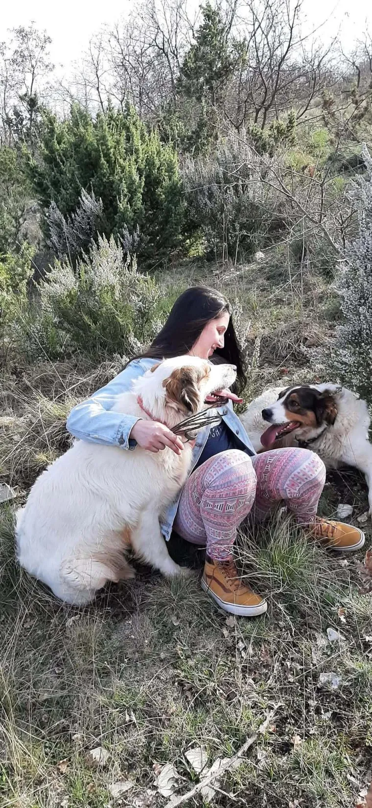 Moćni divovi nježnog srca: Oni su smireni, privrženi i odani, a ovo su va&scaron;i mezimci
