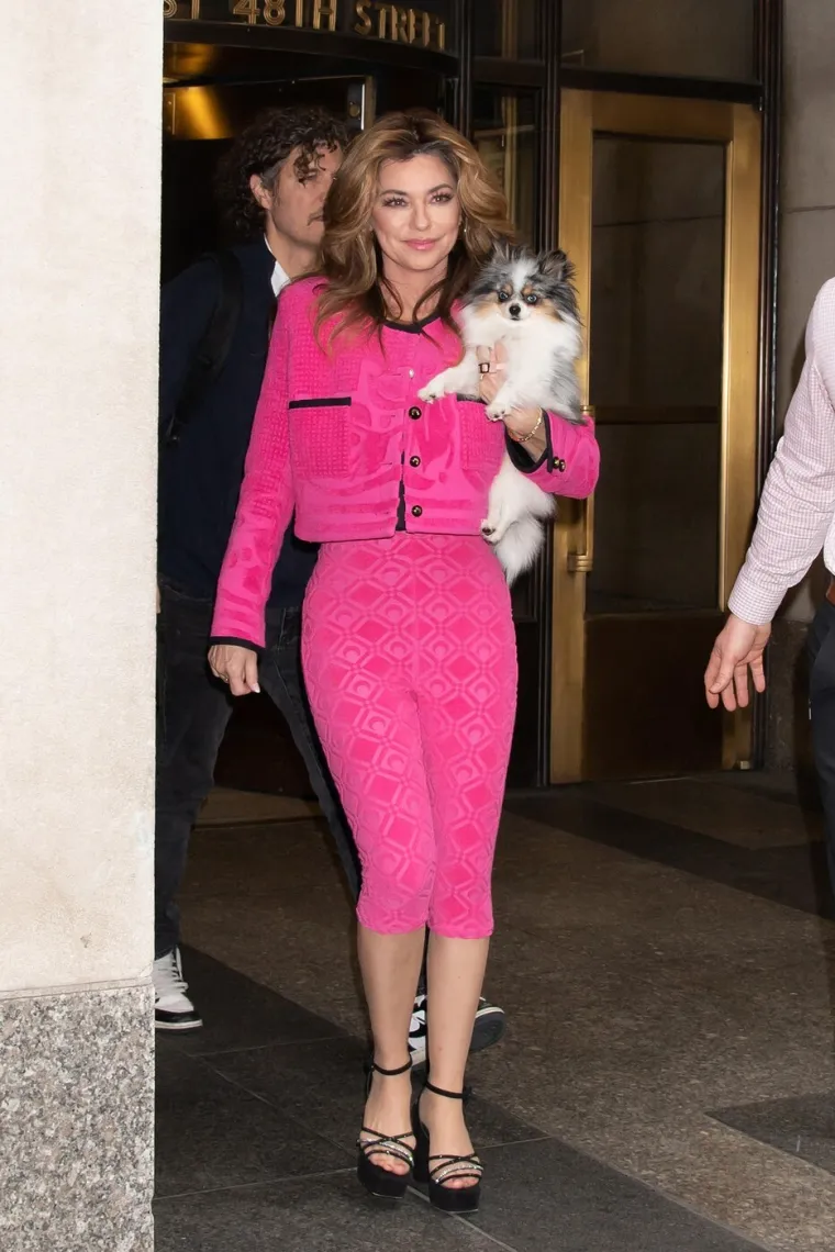 U zavodljivoj čipki i korzetu 'posramljuje' i mlađe: Shania Twain (60) prkosi godinama
