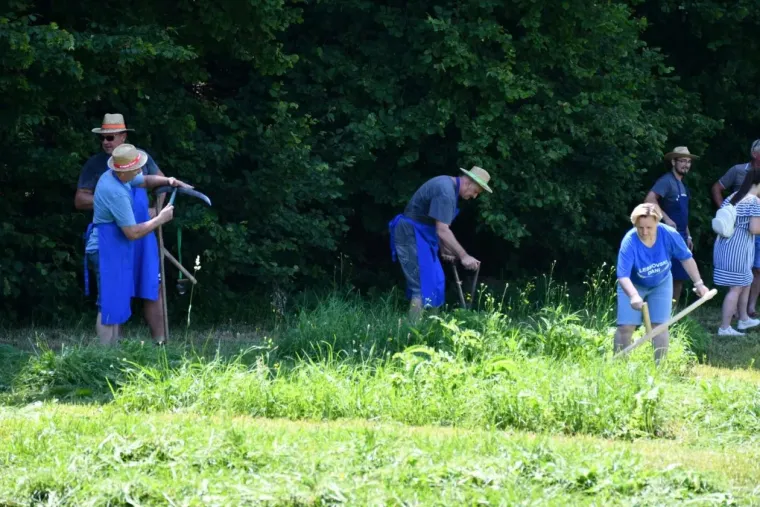 Hoblanje, sečkanje korzija, žaganje: Ne znate &scaron;to to znači? Odmorite du&scaron;u i pogledajte