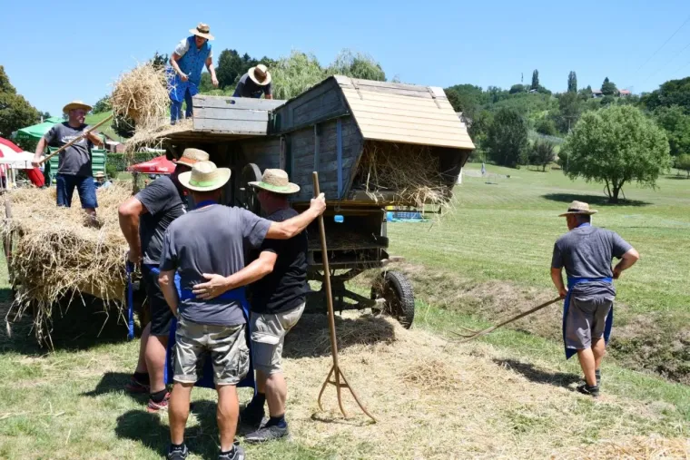 Hoblanje, sečkanje korzija, žaganje: Ne znate &scaron;to to znači? Odmorite du&scaron;u i pogledajte