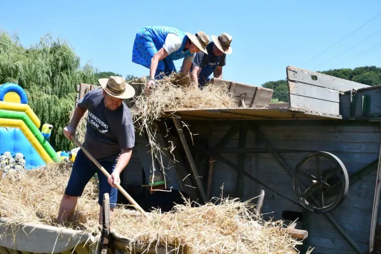 Hoblanje, sečkanje korzija, žaganje: Ne znate &scaron;to to znači? Odmorite du&scaron;u i pogledajte