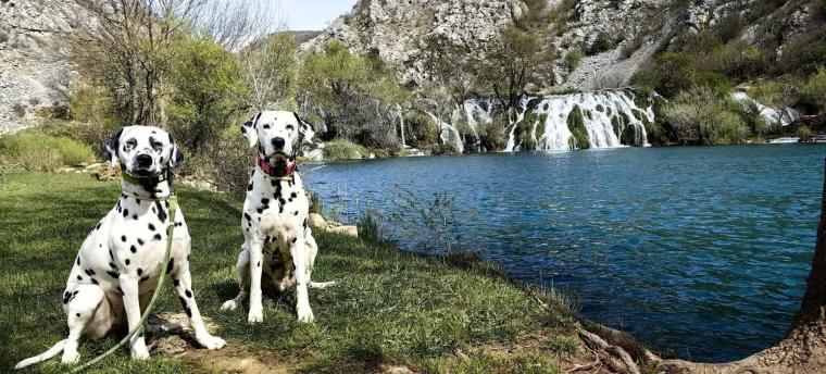 Elegantni, odani i neodoljivi: Ovih 40 ljepotana osvojit će vas na prvi pogled