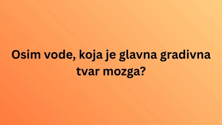 Obilježavamo Svjetski dan mozga: Doznaj u kvizu koliko zna&scaron; o organu ključnom za život