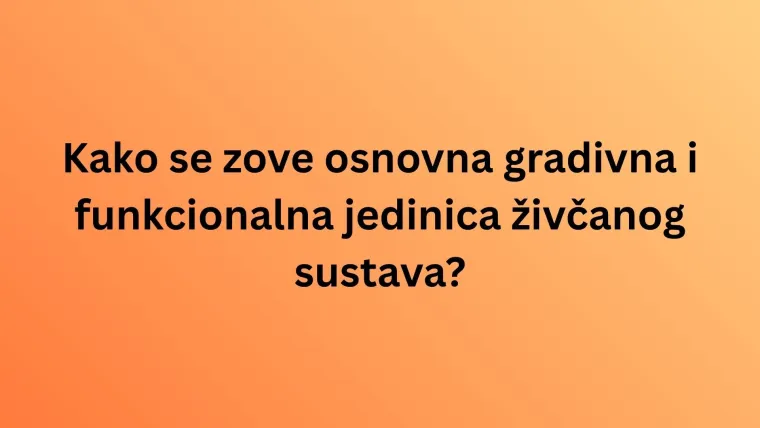 Obilježavamo Svjetski dan mozga: Doznaj u kvizu koliko zna&scaron; o organu ključnom za život