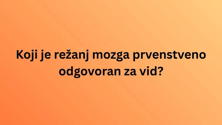 Obilježavamo Svjetski dan mozga: Doznaj u kvizu koliko zna&scaron; o organu ključnom za život