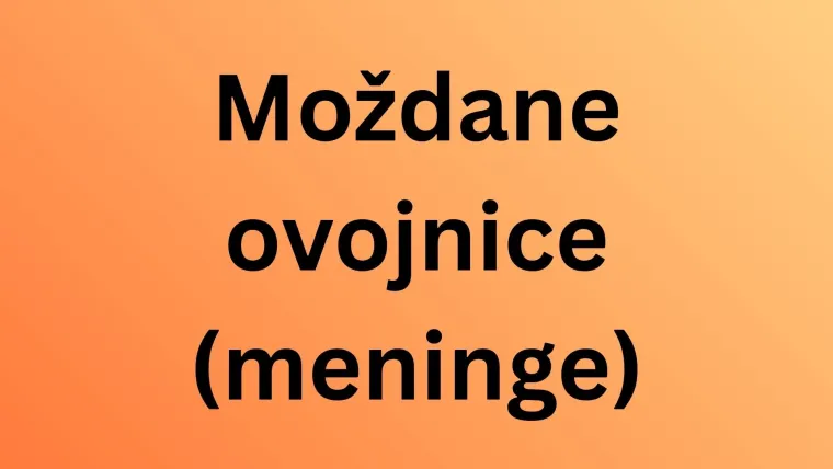 Obilježavamo Svjetski dan mozga: Doznaj u kvizu koliko zna&scaron; o organu ključnom za život