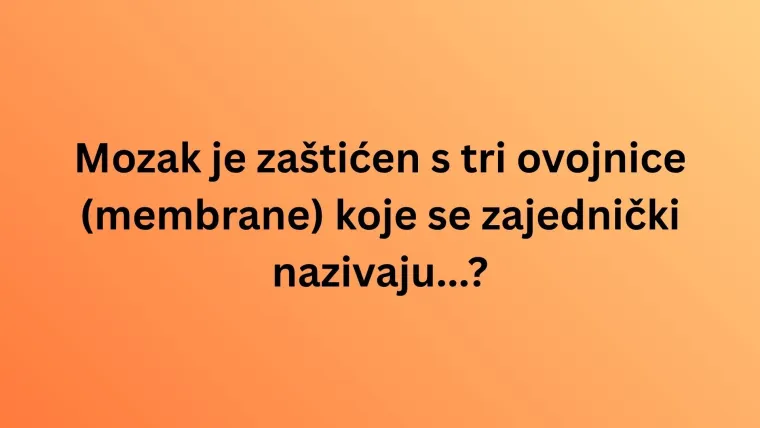 Obilježavamo Svjetski dan mozga: Doznaj u kvizu koliko zna&scaron; o organu ključnom za život