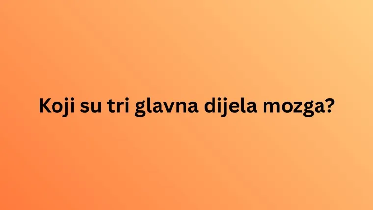 Obilježavamo Svjetski dan mozga: Doznaj u kvizu koliko zna&scaron; o organu ključnom za život