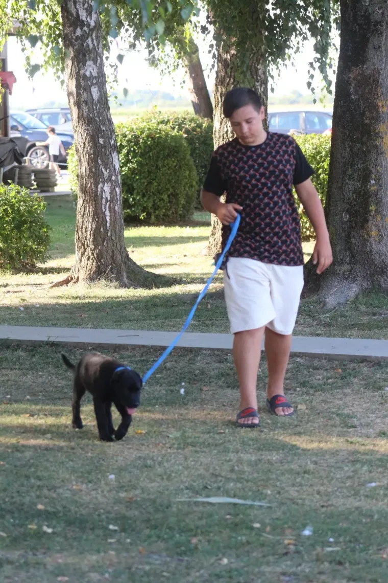 Dok su na plažama Jadrana gužve, njima je ovo prava oaza tijekom rekordnih vrućina