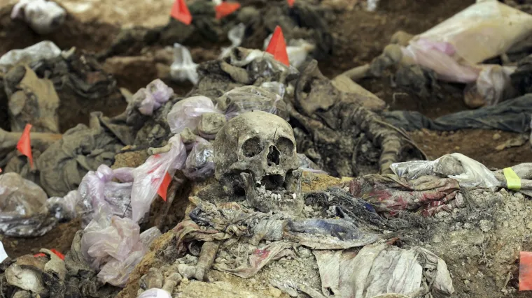 Uhitili Arkana zbog genocida u Srebrenici
