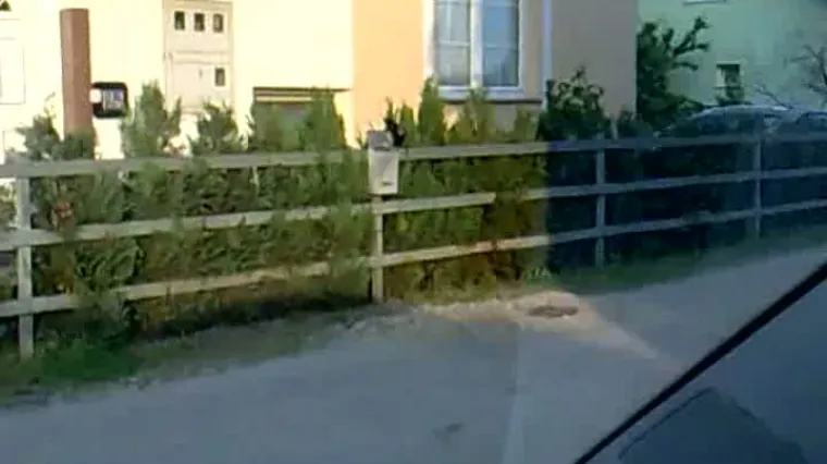 Vrana otvara poštanski sandučić