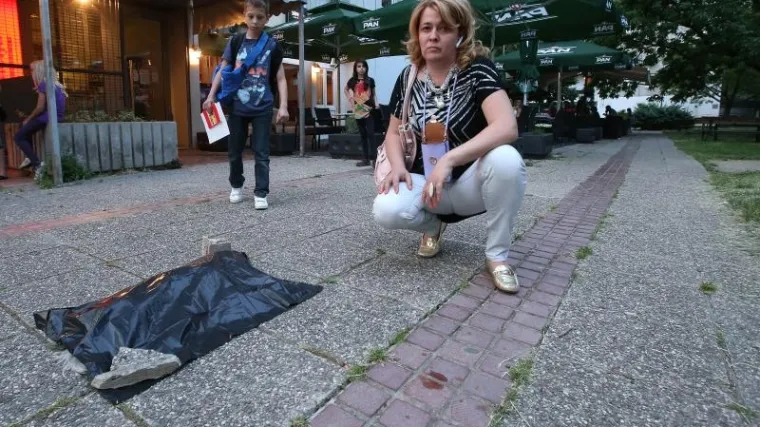 Kujica bačena kroz prozor nebodera, traži se njen vlasnik!