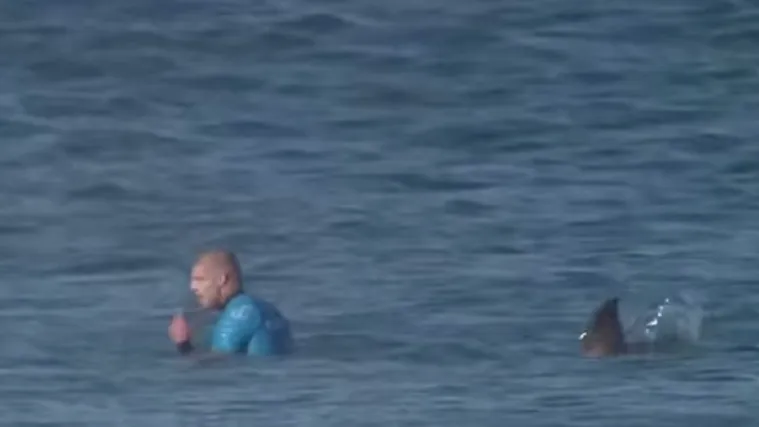 Znanstvenica objasnila kako je surfer izbjegao ugriz morskog psa