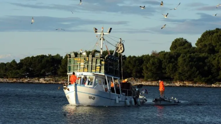 Dvojica mladića osmislila novu ponudu za turiste, posao cvjeta