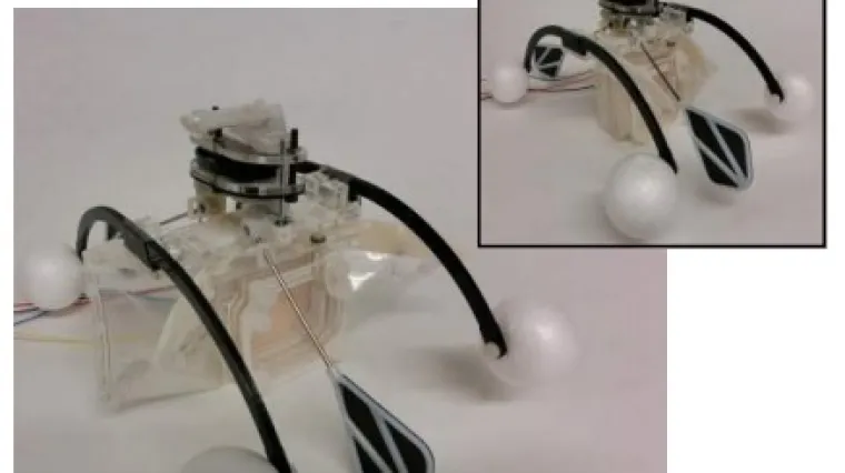 Robot koji se hrani algama i proizvodi struju