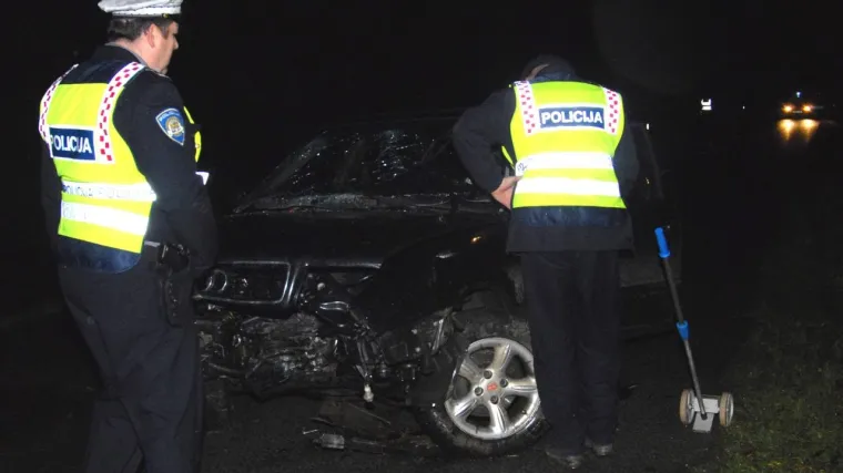 Vozač i suputnica (24) uspjeli izaći prije nego je automobil izgorio