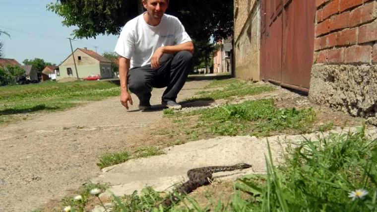 'Najezda je, ljudi me zovu duplo više nego prije'