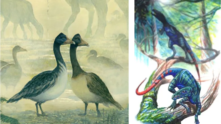 I dinosaure su budile ptice, samo nisu baš pjevale