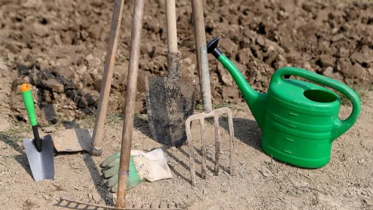'Guštam bez obzira na sate provedene uz motiku i žuljeve na rukama'