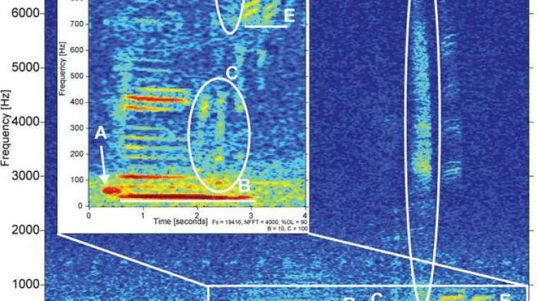 Napokon identificiran misteriozni zvuk koji dolazi iz Marijanske brazde