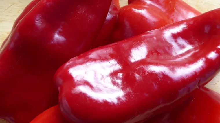 Uzgoj paprike slonovo uho - kako se uzgaja paprika za ajvar