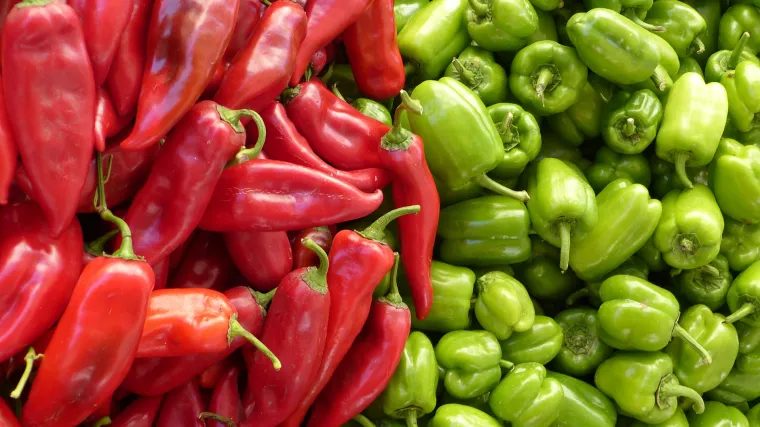Sjetva paprika - kako se uzgaja paprika