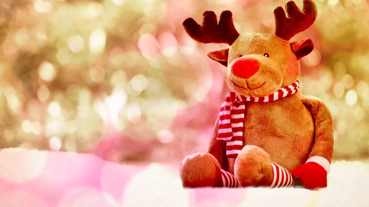 Advent u Zagrebu: Kad se upali tisuću lampica