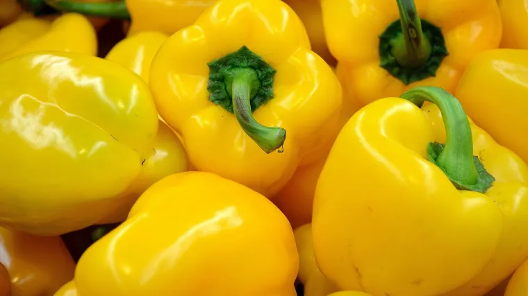 Paprika babura sorte - vrste najpoznatije paprike
