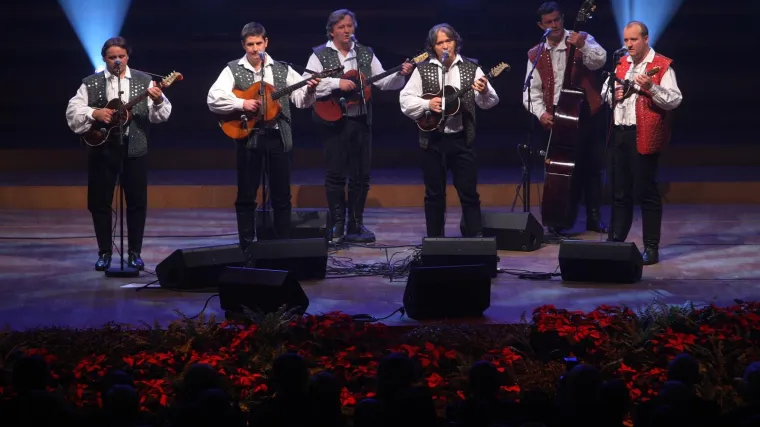 Vrste tambura - vrste trzalačko žičanih instrumenata