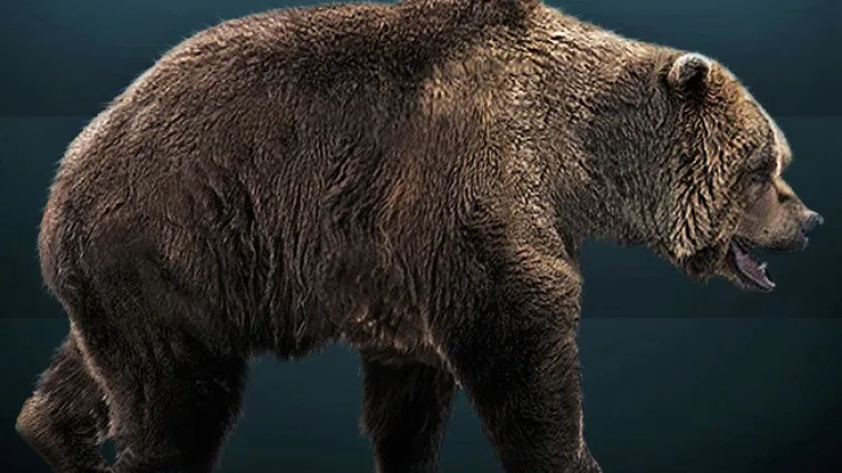 Kako su neandertalci lovili ogromne špiljske medvjede