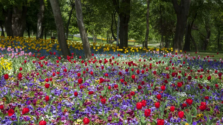 Počele pripreme za 53. Floraart: Posadit će se više od 150 tisuća sadnica, a cvjetne instalacije uljepšat će najneobičnije dijelove grada