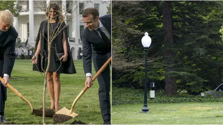 Gdje je nestalo drvo? Misteriozno nestao hrast kojeg su pred Bijelom kućom zasadili Trump i Macron