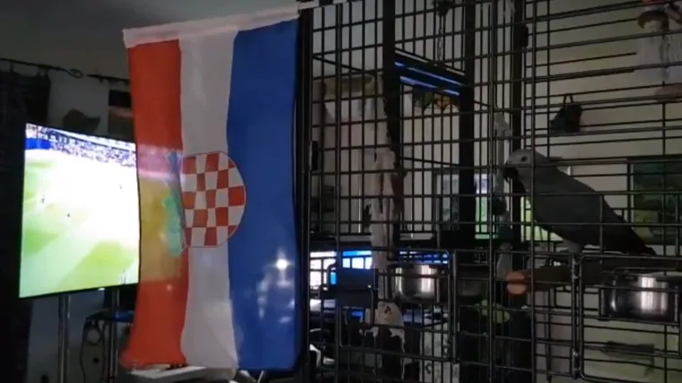 Kad ona bodri Vatrene pobjeda je zagarantirana: 'Hrvatska! Ideeemo dalje!'