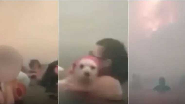 VIDEO Osvanule tužne snimke iz Grčke: Bježali od vatre s kućnim ljubimcima, neki se utopili