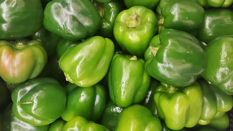 Koje sorte paprika za plastenik poznajete