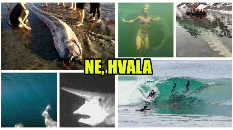Bolujete li od thalassofobije? 20 slika uz pomoć kojih možete vidjeti bolujete li od ovog drevnog straha