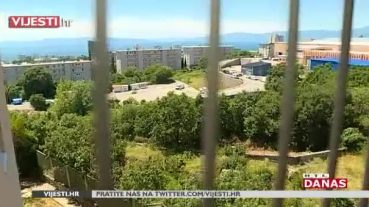 U riječko naselje stigle lisice: Trebaju li ih se ljudi bojati i što da naprave kad ih sretnu?