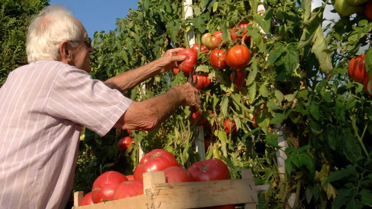 Hrvatska ima jednu od najbogatijih flora, a sada napokon ima i svoju Društvenu banku sjemena