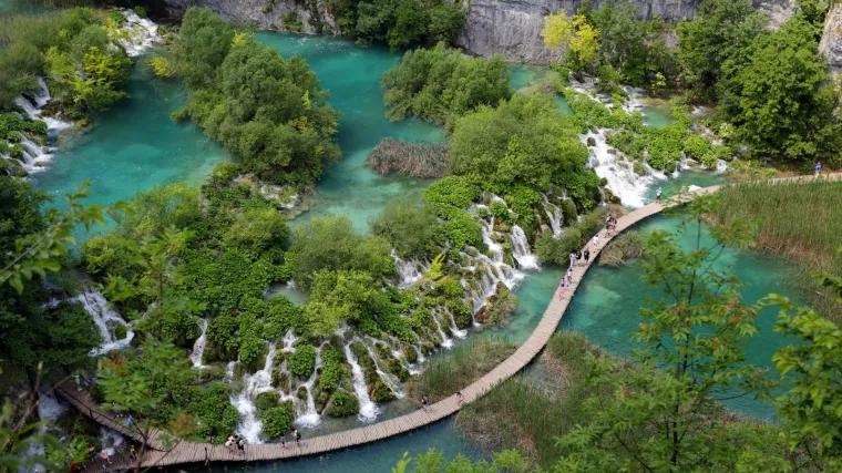 Senzacija na Plitvicama: Pahuljaste meduze u jezerima, stigle na nogama ptica