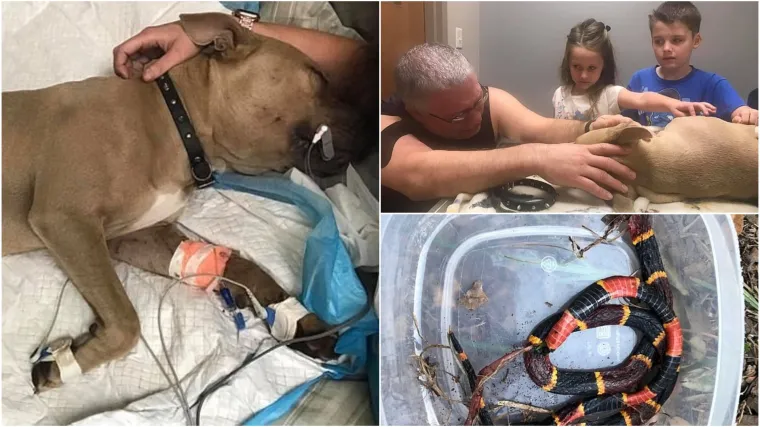 'Dao je svoj život kako bi zaštitio naše sinove'