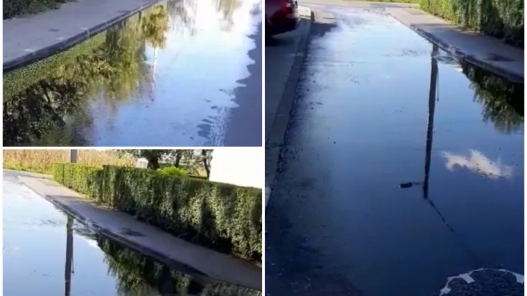 Gaze po fekalijama, guše se u smradu, a neki su se i razboljeli