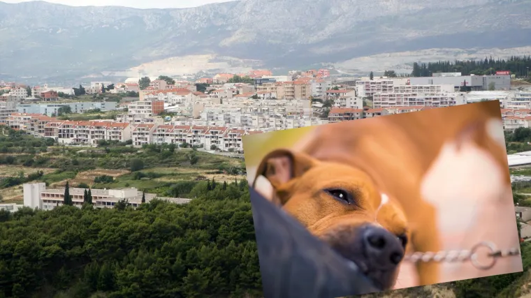 'Dohvatili su je sinoć, izletjela sam u pidžami. Pitam se tko je sljedeći na redu?'