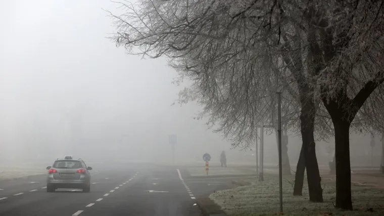 Evo što kaže Dunja Mazzocco Drvar