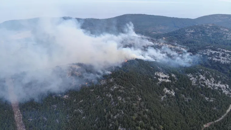 Netko je zapalio korov i sve se pretvorilo u ogroman požar